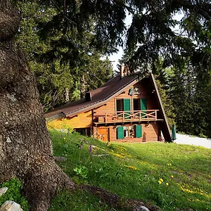 Alpinka Chalet Cerklje na Gorenjskem